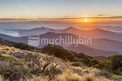 Sunrise over layered ridges of Marlborough Sounds from Mt Stokes