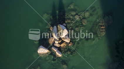 Aerial view looking down on the iconic Split Apple Rock, Tasman Bay, Nelson