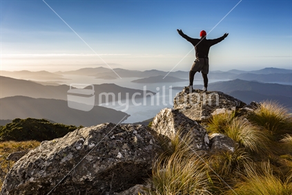 Solo tramper lifts arms to celebrate the morning on Mount Stokes, Marlborough Sounds