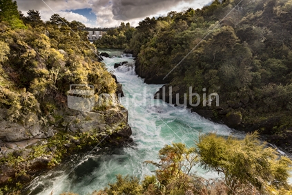 The amazing Aratiatia Rapids are formed when the dam releases water into the Waikato River, not far from Taupo.