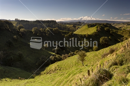 Mount Ruapehu presides over remote hill country near Whanganui River.