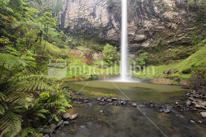 Bridal Veil Falls is the arguably the most beautiful cascade in the North Island