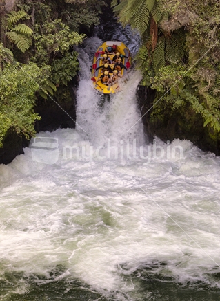 Yellow raft carries tourists over Okere Falls into a surge pool on the Kaituna River near Rotorua.