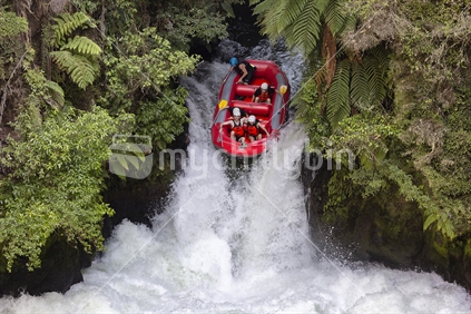 Red raft is guided down Kaituna River over Okere Falls near Rotorua; the highest commercially rafted waterfall in NZ
