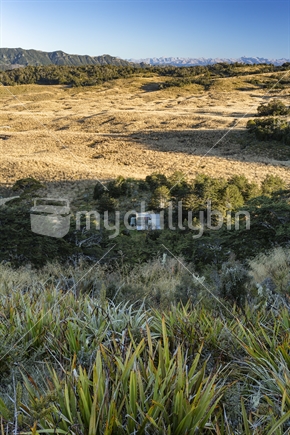 Poor Petes Hut is hidden in bush on the Thousand Acres Plateau