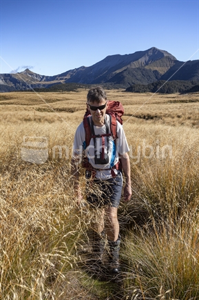 Male Kiwi tramper walks through Thousand Acre Plateau in southern Kahurangi National Park