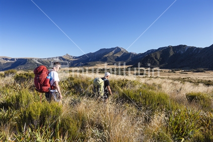 Pair of Kiwi men tramp to the Needle & Haystack peaks on the Thousand Acres Plateau in Kahurangi National Park