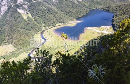 Lake Matiri is a remote haven for native birds in southern Kahurangi National Park