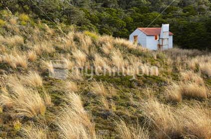 Historic MOW Hut is a remote shelter near the Heaphy Track in northern Kahurangi National Park