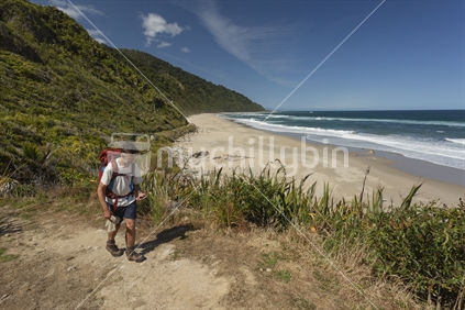 Kiwi hiker tramping along coast section of iconic Heaphy Track great walk in Kahurangi National Park
