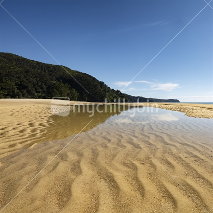 Reflections in pool, with ripples in golden sand of Appletree Bay, Abel Tasman National Park