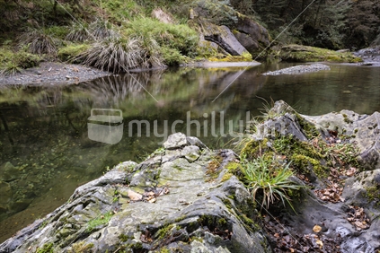 Reflections in Flora Stream, Kahurangi National Park, Nelson district