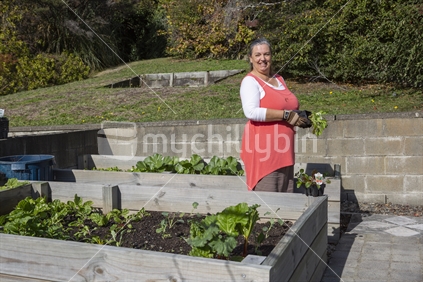 New Zealand woman in her backyard garden, Nelson, South Island