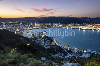 Wellington is capital city of New Zealand