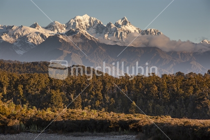 Southern Alps from Three Mile Lagoon, Westland National Park. Vertical