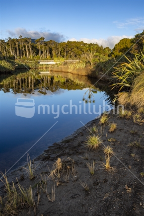 Rata Forest, Ship Creek lagoon, South Westland