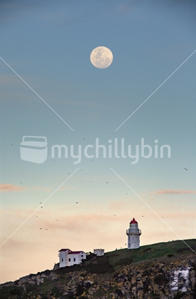 Tairoa Head lighthouse on Otago Peninsula with full moon rising