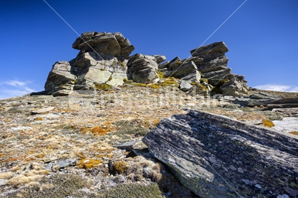 Schist rock stack, Rock & Pillar Range, Otago, NZ
