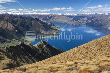 View from Isthmus Peak to Lake Hawea with tussock hill