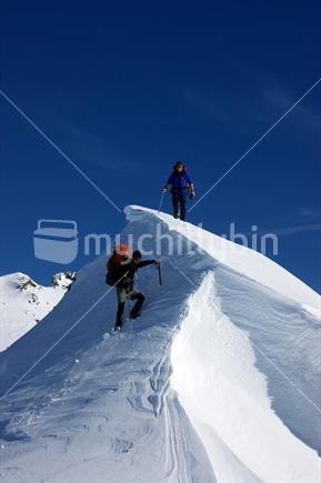 Two climbers on Robert Ridge, Nelson Lakes National Park