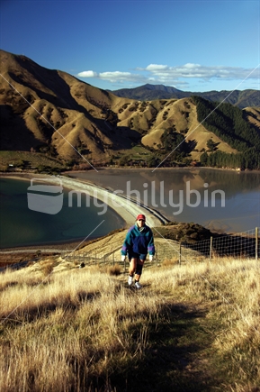 Tramper climbs The Sentinel above Cable Bay, site of NZ's first telegraph station near Nelson