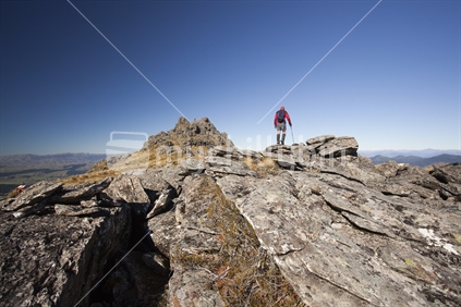 Red hiker wanders along Richmond Ranges toward Johnston Peak