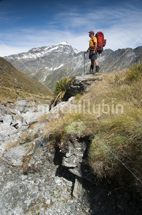 Yellow tramper on rock. Rees-Dart track, Mt Aspiring National Park, Otago.