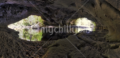 Moria Gate is one of two natural arches in the Oparara Basin, inland from Karamea
