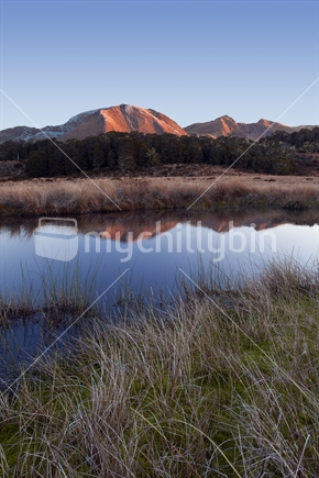 Mt Arthur reflected in Tableland tarn; Kahurangi National Park