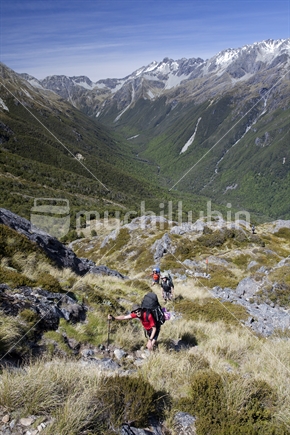 Trampers climb toward Moss Pass, high above the D'Urville Valley. Nelson Lakes National Park