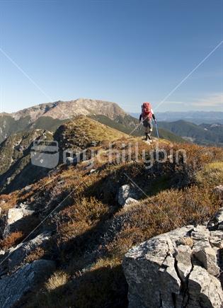 Alpine tramper en route to Mt Rintoull, on the Te Araroa Trail