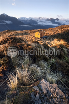 Golden Tussocks Of The Newton Range, with Mt Brown Hut In the Distance, Westland