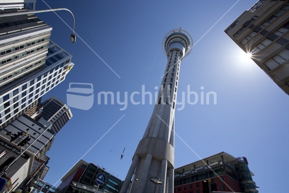Bungy jumper falls from the Sky Tower in Auckland's central business district