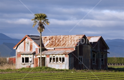 Derelict farmhouse - Appleby Highway, Nelson