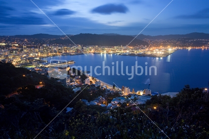 New Zealand's capital city, Wellington, viewed from Mount Victoria at night