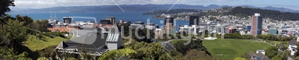 Extended panoramic of Wellington City - high  resolution image