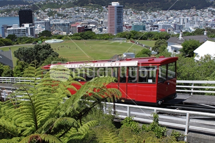 Wellington city and cable car, New Zealand, Aotearoa