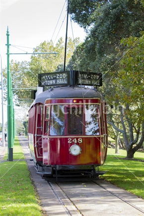 Red tram passing alongside Western Springs Park, in Auckland. 
