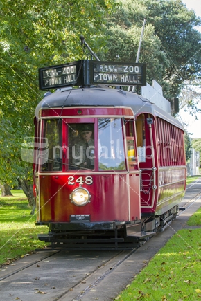 Red tram passing alongside Western Springs Park, in Auckland. 