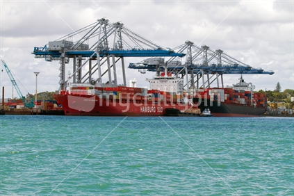 Container ships in port with cranes