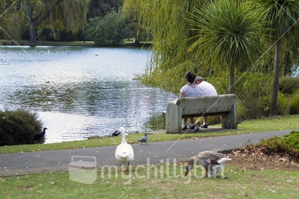 Lake in a park, with a couple on a bench, ducks and geese in the foreground.