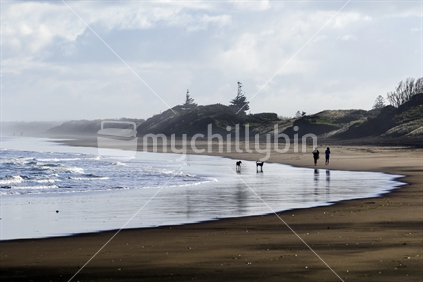 Dog walkers on Muriwai black iron sand beach