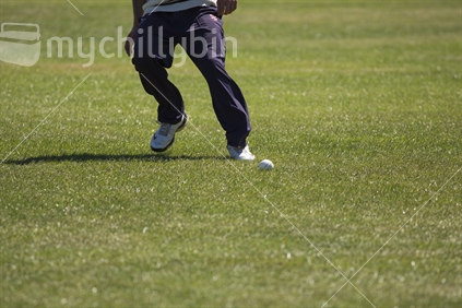 Cricketer chasing the ball