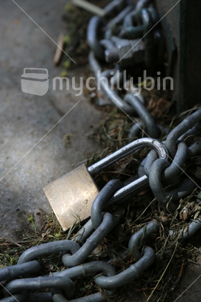 A padlock and old chain lie loosely coiled on the ground, gathering dead grass and weeds within the links.
