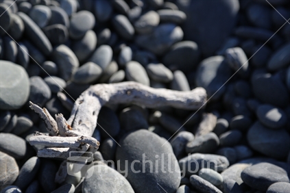 A lone piece of ocean-weathered driftwood lies on a remote rocky coastal beach, surrounded by smoothe greywacke stones.