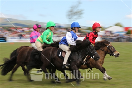 The Shetland pony Grand National event, miniature steeplechase style, at the Canterbury A&P (agricultural and pastoral) 150th Anniversary 2012 Show.