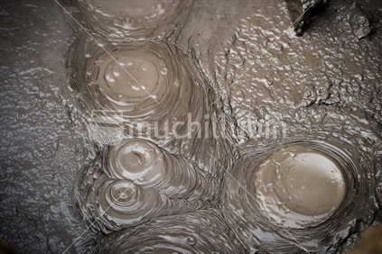 Thick muddy rings of boiling mud