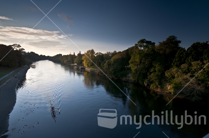 Rowers on the Waikato river, in Hamilton