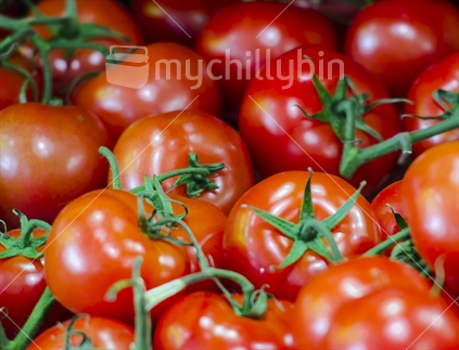 A display of ripe vine ripened tomatoes (Limited depth of field)