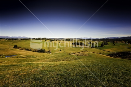 Tasman View, Moutere